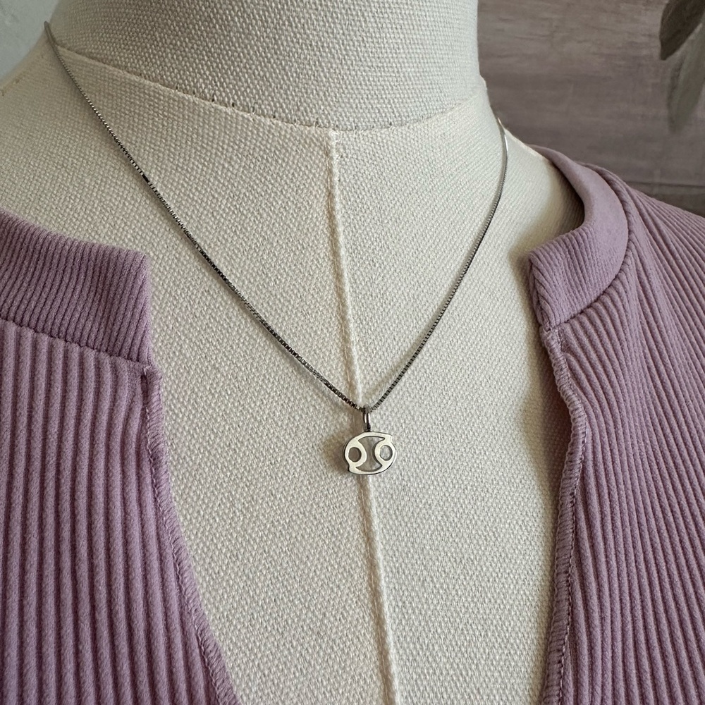 Sterling Silver Zodiac Necklace and Postback Earrings